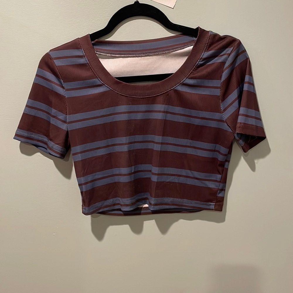 Blue and brown striped cropped t-shirt
